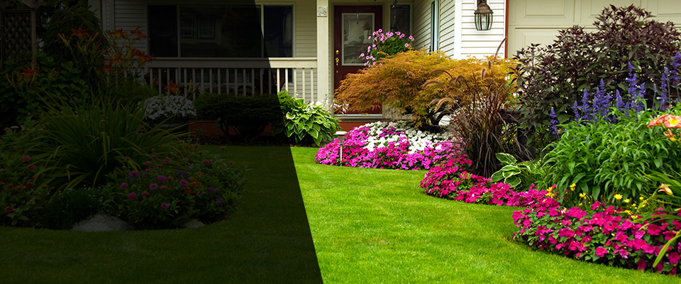 Covington Landscapers